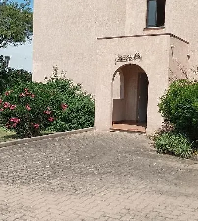 T2